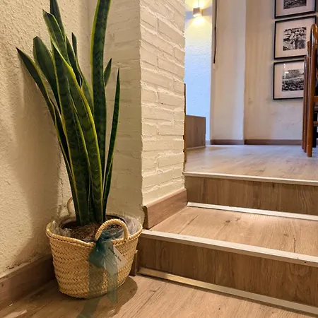 Casa Cuevas Σπίτι διακοπών Terrer